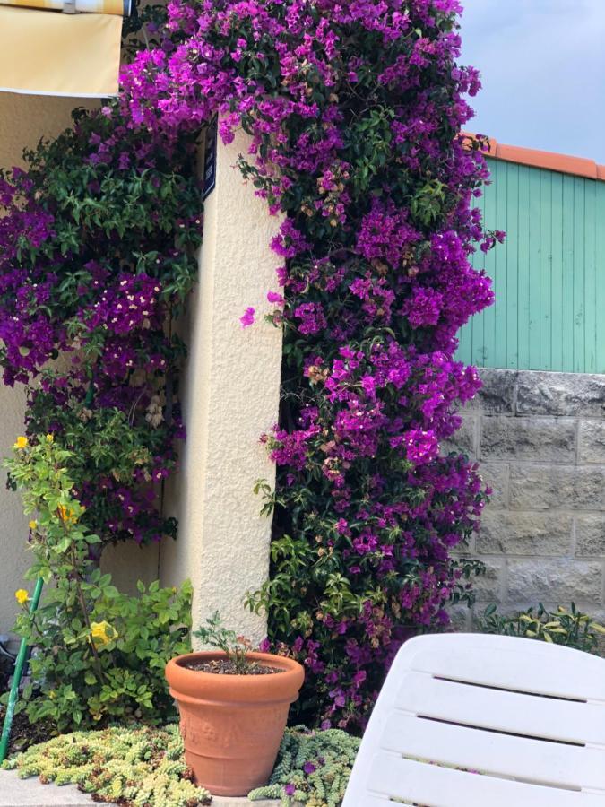 Villa C3 Arthur Rimbaub Chambre D'Hote Piscine Proche Mer Plage 600M Cagnes-sur-Mer Exterior foto